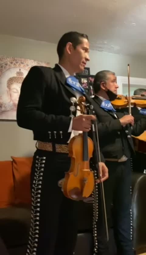 Live performance highlight